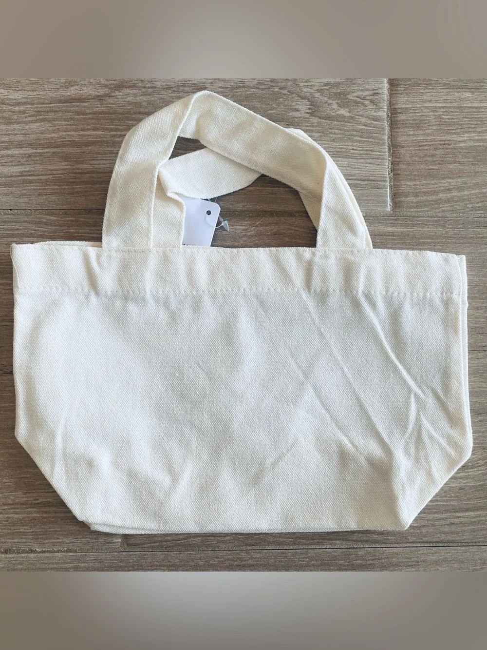 Disney bag japan tags